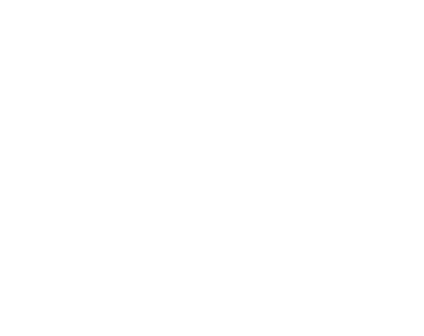 Filippo-Software Logo